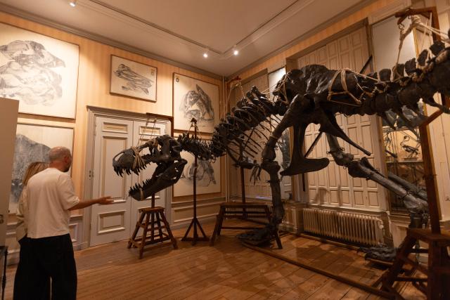 (250617) -- AMSTERDAM, June 17, 2025 (Xinhua) -- People visit the Art Zoo Museum in Amsterdam, the Netherlands, on June 17, 2025. The museum, which blends taxidermy with fine art, opened to the public on June 26, 2025. (Photo by Sylvia Lederer/Xinhua)