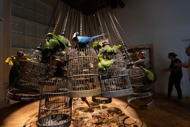 (250617) -- AMSTERDAM, June 17, 2025 (Xinhua) -- People visit the Art Zoo Museum in Amsterdam, the Netherlands, on June 17, 2025. The museum, which blends taxidermy with fine art, opened to the public on June 26, 2025. (Photo by Sylvia Lederer/Xinhua)