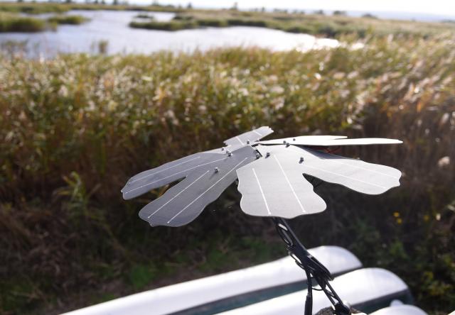 (250621) -- VIENNA, June 21, 2025 (Xinhua) -- This photo taken on Oct. 8, 2024 shows a Huawei device monitoring sounds at the Neusiedler See-Seewinkel National Park in Austria. TO GO WITH "Feature: Smart tech aids bird conservation in Austria's national park" (Xinhua/He Canling)