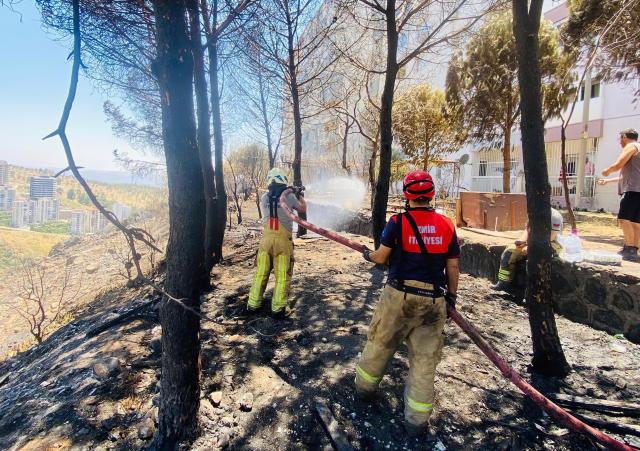 (250630) -- IZMIR (TÜRKIYE), June 30, 2025 (Xinhua) -- Firefighters put out a fire in the Seferihisar district of Izmir, Türkiye, on June 30, 2025. Türkiye has evacuated more than 50,000 people from regions affected by forest fires across the country, with the western province of Izmir accounting for the majority of evacuations, the country's disaster agency said on Monday. (Mustafa Kaya/Handout via Xinhua)