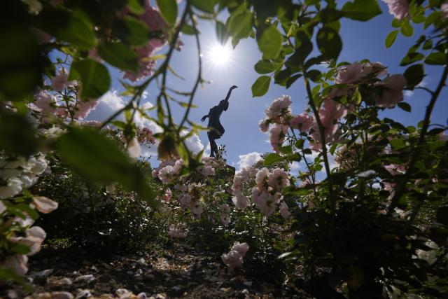 (250701) -- WARSAW, July 1, 2025 (Xinhua) -- A statue is seen among blooming roses at a rosary of Skaryszewski Park in Warsaw, Poland on June 30, 2025. The rosary in the park has been brought back to its pre-war glory. Thanks to photos submitted by citizens, the city garden authority has been able to largely recreate the rose garden to its original 1920s state when there were some 5000 roses of around 80 varieties. (Photo by Jaap Arriens/Xinhua)