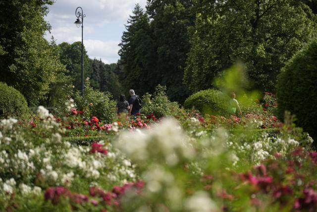 (250701) -- WARSAW, July 1, 2025 (Xinhua) -- People visit a rosary of Skaryszewski Park in Warsaw, Poland on June 30, 2025. The rosary in the park has been brought back to its pre-war glory. Thanks to photos submitted by citizens, the city garden authority has been able to largely recreate the rose garden to its original 1920s state when there were some 5000 roses of around 80 varieties. (Photo by Jaap Arriens/Xinhua)