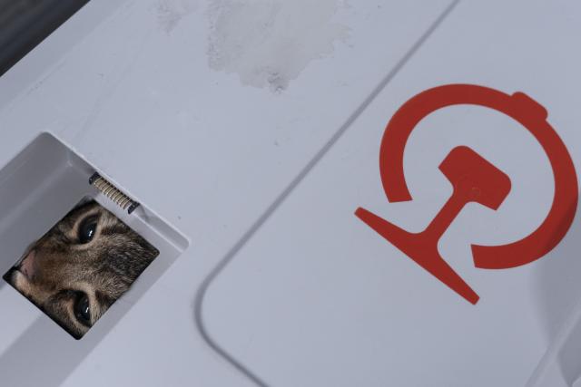 (250702) -- BEIJING, July 2, 2025 (Xinhua) -- A pet cat looks outside in a transport case at Wuhan Railway Station in Wuhan, central China's Hubei Province, July 1, 2025. On the first day of this year's summer travel rush, some qualified domesticated cats and dogs boarded on bullet trains accompanying their owners in Wuhan on Tuesday, as the pilot pet consignment service on high-speed railways expanded its scope from June 20.
  Each traveler is allowed to bring one healthy pet weighing no more than 15 kilograms and standing no taller than 40 centimeters at the shoulder, accompanied by a valid quarantine certificate, according to China State Railway Group Co., Ltd. (Xinhua/Wu Zhizun)