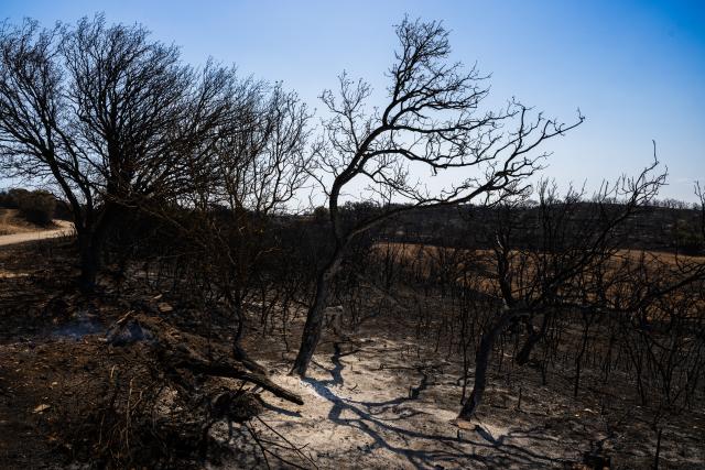 (250702) -- LLEIDA, July 2, 2025 (Xinhua) -- This photo taken on July 2, 2025 shows the burned land in Lleida province, Spain. Two farmers were killed in a wildfire that burned through 5,000 hectares in the La Segarra district of Lleida province, north-east Spain, on Tuesday, according to local emergency services. (Photo by Joan Gosa/Xinhua)