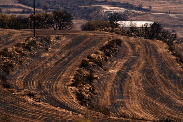 (250702) -- LLEIDA, July 2, 2025 (Xinhua) -- This photo taken on July 2, 2025 shows the burned land in Lleida province, Spain. Two farmers were killed in a wildfire that burned through 5,000 hectares in the La Segarra district of Lleida province, north-east Spain, on Tuesday, according to local emergency services. (Photo by Joan Gosa/Xinhua)