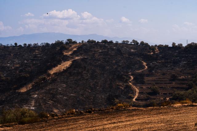 (250702) -- LLEIDA, July 2, 2025 (Xinhua) -- This photo taken on July 2, 2025 shows the burned land in Lleida province, Spain. Two farmers were killed in a wildfire that burned through 5,000 hectares in the La Segarra district of Lleida province, north-east Spain, on Tuesday, according to local emergency services. (Photo by Joan Gosa/Xinhua)