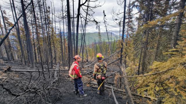 (250704) -- BRITISH COLUMBIA, July 4, 2025 (Xinhua) -- This photo provided by British Columbia Wildfire Service on July 2, 2025 shows two firefighters working at a wildfire site in northwestern British Columbia, Canada. (Xinhua)