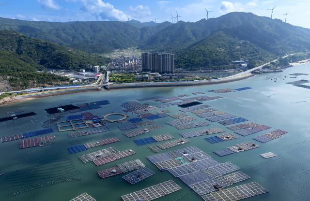 (250704) -- FUZHOU, July 4, 2025 (Xinhua) -- An aerial drone photo taken on July 3, 2025 shows a national-level marine ranch in Lianjiang County of Fuzhou, southeast China's Fujian Province. Leveraging its unique marine resources, distinctive fisheries industry, and regional economic advantages, Lianjiang County has in recent years been promoting the upgrade and intelligent transformation of deep-sea and far-sea mariculture platforms, and developing the farming of aquatic products such as kelp, large yellow croaker, and abalone.
   So far, a total of 11 deep-sea and far-sea mariculture platforms have been deployed in the sea area off Lianjiang. The annual output of aquatic products is expected to reach around 2,000 tonnes, with an annual output value of more than 200 million yuan (about 27.92 million U.S. dollars). (Xinhua/Wei Peiquan)