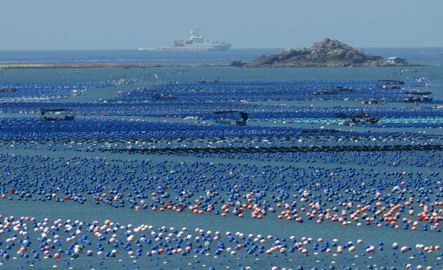 (250704) -- FUZHOU, July 4, 2025 (Xinhua) -- This photo taken on July 3, 2025 shows a marine ranch in Lianjiang County of Fuzhou, southeast China's Fujian Province. Leveraging its unique marine resources, distinctive fisheries industry, and regional economic advantages, Lianjiang County has in recent years been promoting the upgrade and intelligent transformation of deep-sea and far-sea mariculture platforms, and developing the farming of aquatic products such as kelp, large yellow croaker, and abalone.
   So far, a total of 11 deep-sea and far-sea mariculture platforms have been deployed in the sea area off Lianjiang. The annual output of aquatic products is expected to reach around 2,000 tonnes, with an annual output value of more than 200 million yuan (about 27.92 million U.S. dollars). (Xinhua/Wei Peiquan)