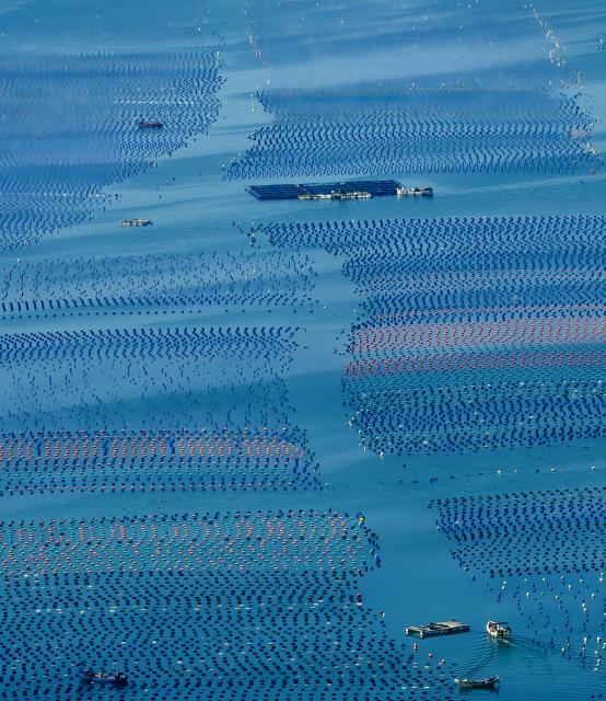 (250704) -- FUZHOU, July 4, 2025 (Xinhua) -- An aerial drone photo taken on July 3, 2025 shows a marine ranch in Lianjiang County of Fuzhou, southeast China's Fujian Province. Leveraging its unique marine resources, distinctive fisheries industry, and regional economic advantages, Lianjiang County has in recent years been promoting the upgrade and intelligent transformation of deep-sea and far-sea mariculture platforms, and developing the farming of aquatic products such as kelp, large yellow croaker, and abalone.
   So far, a total of 11 deep-sea and far-sea mariculture platforms have been deployed in the sea area off Lianjiang. The annual output of aquatic products is expected to reach around 2,000 tonnes, with an annual output value of more than 200 million yuan (about 27.92 million U.S. dollars). (Xinhua/Wei Peiquan)