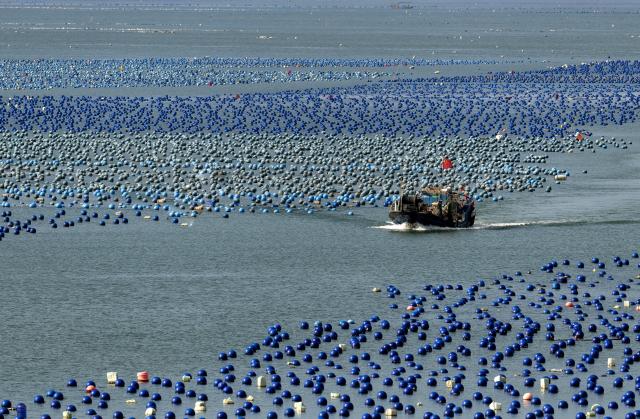 (250704) -- FUZHOU, July 4, 2025 (Xinhua) -- A fishing vessel is seen in a marine ranch in Lianjiang County of Fuzhou, southeast China's Fujian Province, July 3, 2025. Leveraging its unique marine resources, distinctive fisheries industry, and regional economic advantages, Lianjiang County has in recent years been promoting the upgrade and intelligent transformation of deep-sea and far-sea mariculture platforms, and developing the farming of aquatic products such as kelp, large yellow croaker, and abalone.
   So far, a total of 11 deep-sea and far-sea mariculture platforms have been deployed in the sea area off Lianjiang. The annual output of aquatic products is expected to reach around 2,000 tonnes, with an annual output value of more than 200 million yuan (about 27.92 million U.S. dollars). (Xinhua/Wei Peiquan)