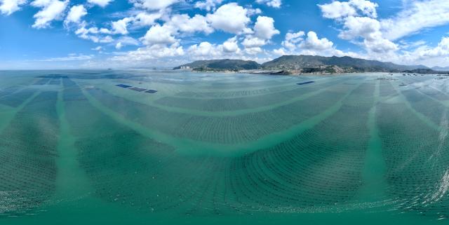 (250704) -- FUZHOU, July 4, 2025 (Xinhua) -- An aerial drone photo taken on July 3, 2025 shows a panoramic view of a national-level marine ranch in Lianjiang County of Fuzhou, southeast China's Fujian Province. Leveraging its unique marine resources, distinctive fisheries industry, and regional economic advantages, Lianjiang County has in recent years been promoting the upgrade and intelligent transformation of deep-sea and far-sea mariculture platforms, and developing the farming of aquatic products such as kelp, large yellow croaker, and abalone.
   So far, a total of 11 deep-sea and far-sea mariculture platforms have been deployed in the sea area off Lianjiang. The annual output of aquatic products is expected to reach around 2,000 tonnes, with an annual output value of more than 200 million yuan (about 27.92 million U.S. dollars). (Xinhua/Wei Peiquan)