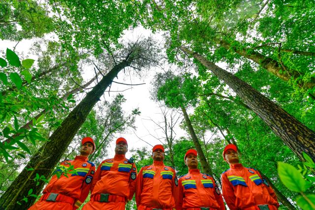 (250704) -- GUIYANG, July 4, 2025 (Xinhua) -- Forest rangers pose for a group photo at the Changpoling Forest Farm in Guiyang, southwest China's Guizhou Province, July 1, 2025.
  The forest farm, established in 1914, covers over 800 hectares. For over a century, forest rangers at the farm have dedicated themselves to planting trees and guarding the woodland. 
  It is a national-level forest park in Guiyang and serves as a key part of a green belt circling the city. (Xinhua/Yang Wenbin)