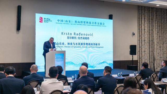 (250705) -- PODGORICA, July 5, 2025 (Xinhua) -- Krsto Radenovic, state secretary of the Ministry of Agriculture, Forestry and Water Management of Montenegro, speaks at a forum on trade and technological cooperation between Montenegro and China in Podgorica, Montenegro, on July 4, 2025.
  More than a hundred government officials and business representatives gathered here on Friday to explore opportunities for trade and technological cooperation between Montenegro and China.
   The forum concluded with a B2B session where Chinese and Montenegrin enterprises held in-depth discussions and reached several preliminary cooperation agreements. (Photo by Wang Wei/Xinhua)