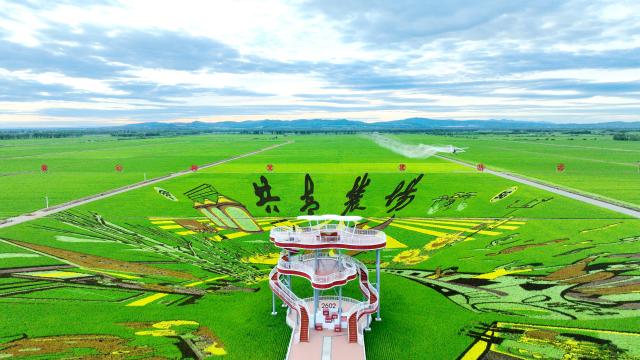(250705) -- HEGANG, July 5, 2025 (Xinhua) -- An aerial drone photo taken on July 3, 2025 shows a drone working in a rice science and technology demonstration park under the Beidahuang Group in Hegang City in northeast China's Heilongjiang Province. At present, in the rice producing areas of Heilongjiang Province, various magnificent rice field pictures "drawn" by different varieties of rice are unfolding on the vast black soil. (Photo by Li Ang/Xinhua)