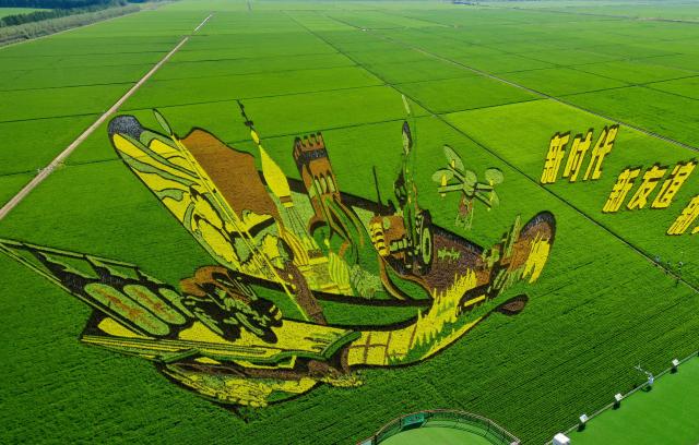 (250705) -- SHUANGYASHAN, July 5, 2025 (Xinhua) -- An aerial drone photo taken on July 4, 2025 shows a view of paddy rice fields under the Beidahuang Group in Shuangyashan City in northeast China's Heilongjiang Province. At present, in the rice producing areas of Heilongjiang Province, various magnificent rice field pictures "drawn" by different varieties of rice are unfolding on the vast black soil. (Photo by Xu Hongyu/Xinhua)