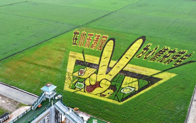 (250705) -- HULIN, July 5, 2025 (Xinhua) -- An aerial drone photo taken on July 5, 2025 shows a view of a modern agricultural sightseeing park under the Beidahuang Group in Hulin City in northeast China's Heilongjiang Province. At present, in the rice producing areas of Heilongjiang Province, various magnificent rice field pictures "drawn" by different varieties of rice are unfolding on the vast black soil. (Photo by Wang Jinbin/Xinhua)