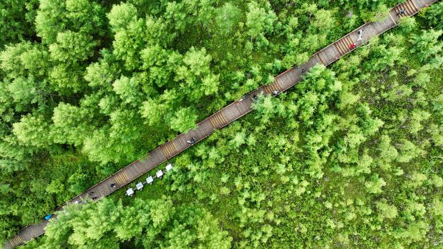(250706) -- BEIJING, July 6, 2025 (Xinhua) -- An aerial drone photo taken on July 5, 2025 shows tourists visiting the national forest park in Arxan of Hinggan League, north China's Inner Mongolia Autonomous Region.
  Arxan, located at the southwestern foot of the Dahinggan Mountains and at the intersection of four major grasslands, is an increasingly popular tourist destination. (Xinhua/Bei He)