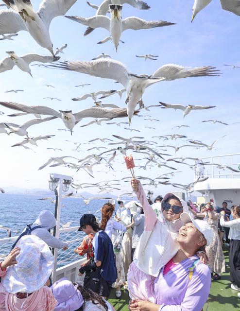 (250706) -- BEIJING, July 6, 2025 (Xinhua) -- Tourists interact with black-tailed gulls on a tourist boat in Rongcheng City, east China's Shandong Province, July 5, 2025. With the arrival of summer vacation, many places in China have entered the peak tourist season. (Photo by Li Xinjun/Xinhua)