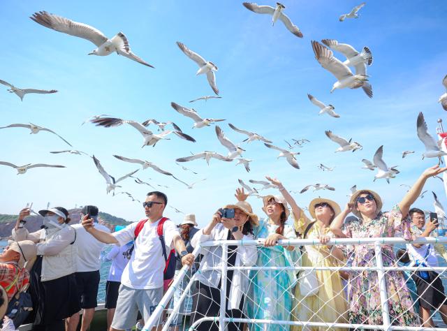 (250706) -- BEIJING, July 6, 2025 (Xinhua) -- Tourists interact with black-tailed gulls on a tourist boat in Rongcheng City, east China's Shandong Province, July 5, 2025. With the arrival of summer vacation, many places in China have entered the peak tourist season. (Photo by Li Xinjun/Xinhua)