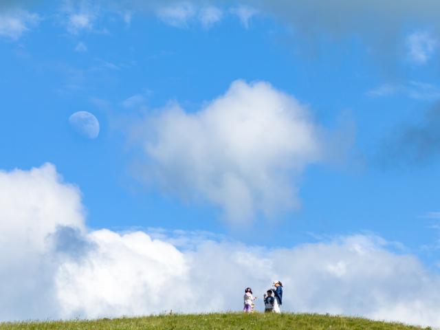 (250706) -- HOHHOT, July 6, 2025 (Xinhua) -- A drone photo taken on July 5, 2025 shows tourists enjoying themselves at a grassland at Huanghuawopu Village in Hohhot, north China's Inner Mongolia Autonomous Region. (Xinhua/Ma Jinrui)