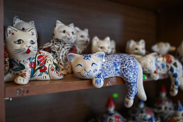 (250706) -- IZNIK, July 6, 2025 (Xinhua) -- This photo taken on June 16, 2025 shows porcelain-inspired cultural and creative products in a porcelain shop in Iznik,Türkiye. Walking through the streets of Iznik, Türkiye, one finds ceramic elements everywhere. The clock tower in the city center is adorned with tile murals depicting sailing ships. House numbers on ordinary homes are carefully inscribed on elegant ceramic tiles. Family-run porcelain workshops and ceramic stalls line the streets.
  Iznik is known as Türkiye's "porcelain capital." From the 15th to the 17th century, the city flourished as a center for producing blue-and-white porcelain but gradually declined in the following centuries.
  In recent years, however, Iznik has been committed to reviving its ceramic heritage and rejuvenating its reputation as Türkiye's "porcelain capital." As part of this effort, Iznik has strengthened exchanges with Jingdezhen, often dubbed China's "porcelain capital."
  In 2021, the two porcelain capitals became sister cities, and the Iznik municipal government organized multiple visits to Jingdezhen for study and exchange.
   In 2025, Jingdezhen's second official overseas flagship store opened in Türkiye, and the two cities also signed a ceramic industry alliance cooperation agreement. Today, Iznik and Jingdezhen are deepening their ties through ceramics, adding a new layer to the modern story of the Silk Road. (Xinhua/Liu Lei)