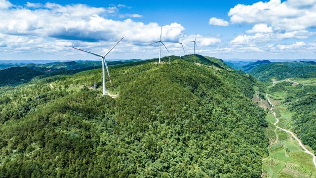 (250706) -- GUIYANG, July 6, 2025 (Xinhua) -- An aerial drone photo taken on July 4, 2025 shows wind turbines in Longli County, southwest China's Guizhou Province. In recent years, Guizhou has made significant progress in ecological construction, striving to transform ecological advantages into developmental strengths. 
  While actively developing green energy sources such as wind and solar power, Guizhou makes full use of the land beneath photovoltaic panels to cultivate crops, and meanwhile encourages farmers to engage in agricultural planting by leveraging diverse terrain and varied climate, an effort to enhance farmers' income.
  Currently, Guizhou's forest coverage rate stands at 63.3 percent, and its green economy accounts for 48 percent of the province's overall economic composition. (Xinhua/Tao Liang)