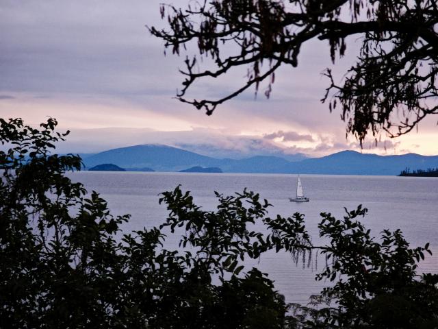 (250709) -- AUCKLAND, July 9, 2025 (Xinhua) -- This photo taken on July 5, 2025 shows the winter scenery in North Island, New Zealand. (Photo by Wu Jiaxiang/Xinhua)
