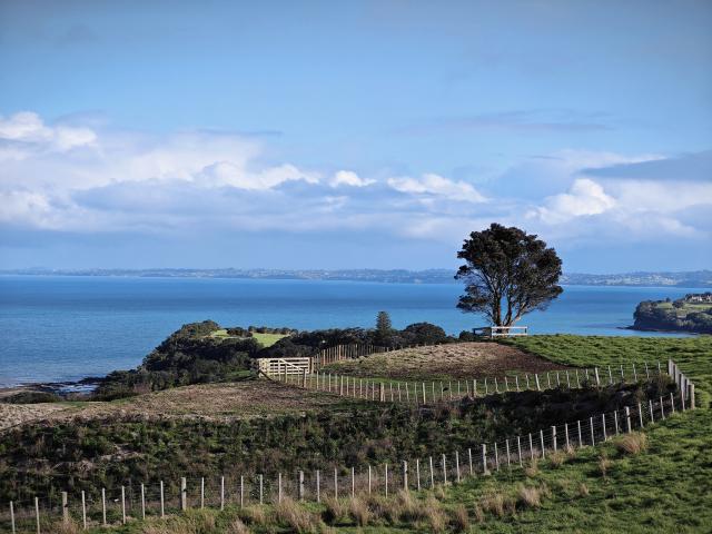 (250709) -- AUCKLAND, July 9, 2025 (Xinhua) -- This photo taken on June 29, 2025 shows the winter scenery in North Island, New Zealand. (Photo by Wu Jiaxiang/Xinhua)