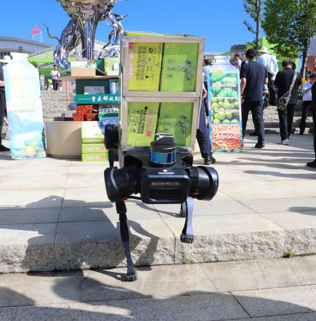 (250711) -- CHONGQING, July 11, 2025 (Xinhua) -- A robot dog transfers packs of plums to a postal dispatch stop in Wushan County in southwest China's Chongqing Municipality, July 5, 2025. TO GO WITH "Across China: Tech-driven logistics boosts plum delivery in remote SW China county" (Xinhua)
