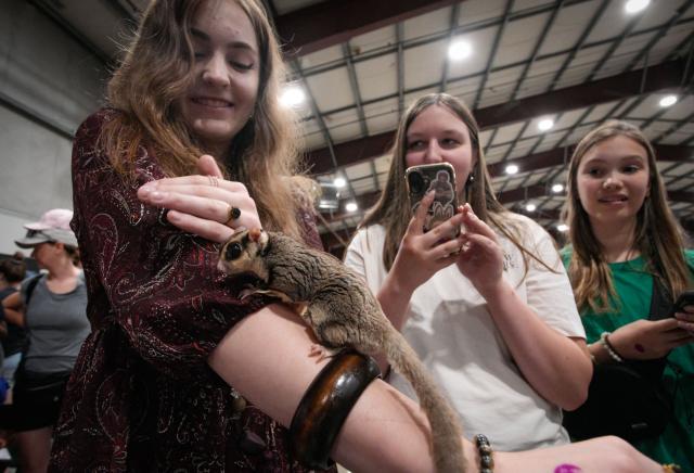 (250712) -- ABBOTSFORD, July 12, 2025 (Xinhua) -- A teenage girl interacts with a sugar glider during the Wildlife Festival in Abbotsford, British Columbia, Canada, July 11, 2025. The three-day event kicked off Friday, showcasing exotic species from around the world. (Photo by Liang Sen/Xinhua)