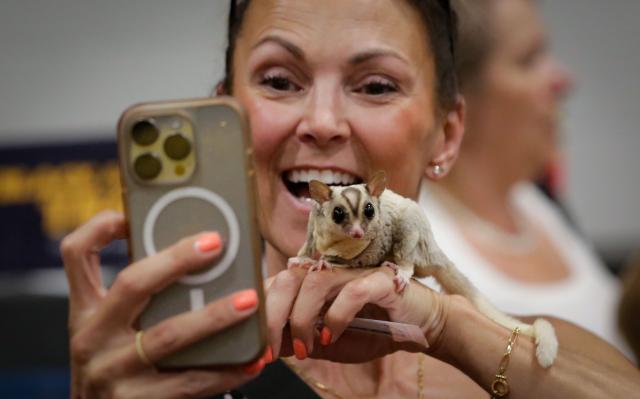 (250712) -- ABBOTSFORD, July 12, 2025 (Xinhua) -- A woman takes photos with a sugar glider during the Wildlife Festival in Abbotsford, British Columbia, Canada, July 11, 2025. The three-day event kicked off Friday, showcasing exotic species from around the world. (Photo by Liang Sen/Xinhua)