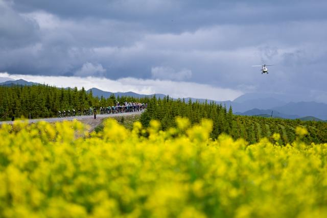 (250712) -- XINING, July 12, 2025 (Xinhua) -- Cyclists compete during the Stage 3 of the Tour of Magnificent Qinghai International Road Cycling Race from Huzhu to Menyuan, northwest China's Qinghai Province, July 8, 2025. (Xinhua/Zhang Long)