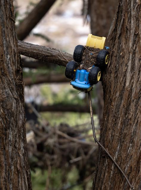 (250712) -- HOUSTON, July 12, 2025 (Xinhua) -- A toy truck hangs in a tree after the flood in Hunt, Texas, the United States, July 11, 2025.
  The July 4 devastating flooding in central Texas has claimed at least 129 lives and left more than 166 others missing. (Photo by Nick Wagner/Xinhua)
