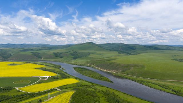 (250712) -- HULUN BUIR, July 12, 2025 (Xinhua) -- An aerial drone photo shows a rapeseed flower field and the Ergun River in Ergun of Hulun Buir, north China's Inner Mongolia Autonomous Region, July 12, 2025. (Xinhua/Ma Jinrui)