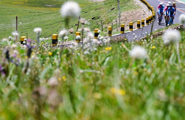 (250712) -- HAIYAN, July 12, 2025 (Xinhua) -- Cyclists compete during the Stage 7 of the Tour of Magnificent Qinghai International Road Cycling Race from Gonghe to Haiyan, northwest China's Qinghai Province, July 12, 2025. (Xinhua/Qi Zhiyue)