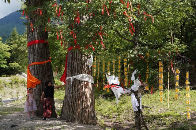 (250713) -- ZHOUQU(GANSU), July 13, 2025 (Xinhua) -- Children play at a scenic spot in Zhouqu County, Gannan Tibetan Autonomous Prefecture, northwest China's Gansu Province, July 12, 2025. (Xinhua/Ma Ning)