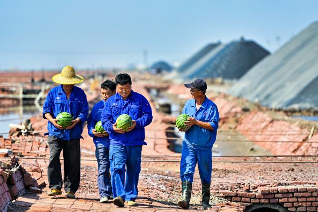 (250713) -- BEIJING, July 13, 2025 (Xinhua) -- Workers claim watermelons as a summer refreshment at a salt field in north China's Tianjin Municipality, July 13, 2025. A heatwave is sweeping multiple regions in China, prompting authorities to roll out measures to ensure job safety and stable production. (Photo by Du Penghui/Xinhua)