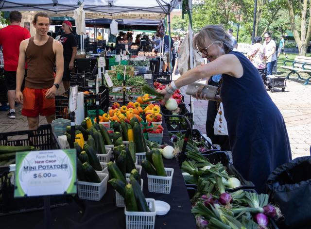 (250715) -- TORONTO, July 15, 2025 (Xinhua) -- A customer shops for groceries at a farmers' market in Toronto, Canada, on July 15, 2025. Canada's Consumer Price Index (CPI) rose 1.9 percent on a year-over-year basis in June, up from a 1.7 percent increase in May, Statistics Canada said Tuesday. (Photo by Zou Zheng/Xinhua)