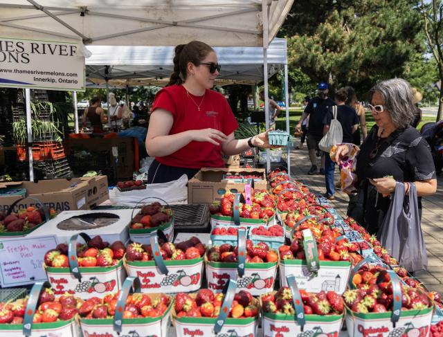 (250715) -- TORONTO, July 15, 2025 (Xinhua) -- A customer shops for fruit at a farmers' market in Toronto, Canada, on July 15, 2025. Canada's Consumer Price Index (CPI) rose 1.9 percent on a year-over-year basis in June, up from a 1.7 percent increase in May, Statistics Canada said Tuesday. (Photo by Zou Zheng/Xinhua)