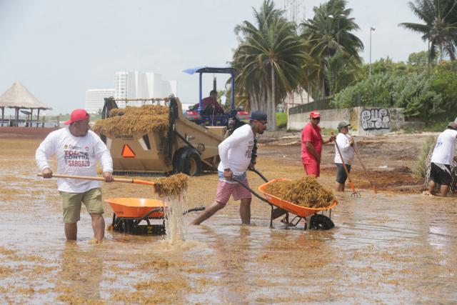 (250716) -- CANCUN, July 16, 2025 (Xinhua) -- Staff members clear sargassum seaweed at a beach in Cancun, Quintana Roo state, Mexico, July 14, 2025.
  Beaches around famed tourist destination Cancun are being inundated by sargassum, a brown seaweed. (Photo by Rodolfo Flores/Xinhua)