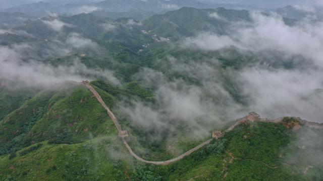 (250716) -- SHIJIAZHUANG, July 16, 2025 (Xinhua) -- An aerial drone photo taken on July 16, 2025 shows a view of the Jinshanling section of the Great Wall in Luanping County of Chengde, north China's Hebei Province. (Photo by Zhou Wanping/Xinhua)