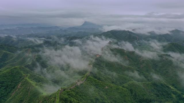 (250716) -- SHIJIAZHUANG, July 16, 2025 (Xinhua) -- An aerial drone photo taken on July 16, 2025 shows a view of the Jinshanling section of the Great Wall in Luanping County of Chengde, north China's Hebei Province. (Photo by Zhou Wanping/Xinhua)
