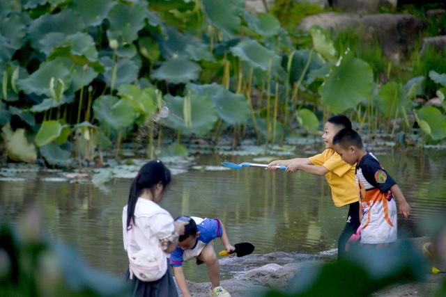 (250716) -- KUNMING, July 16, 2025 (Xinhua) -- Kids play at a park in Nanjian Yi Autonomous County, southwest China's Yunnan Province, July 14, 2025. Known for its stunning nature beauty, Yunnan Province has cultivated a summer tourism industry, offering tourists diverse experiences amid forests, snow-capped mountains, wetlands, and flower fields. (Photo by Shi Zhihong/Xinhua)