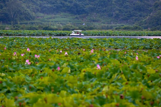 (250717) -- QIUBEI, July 17, 2025 (Xinhua) -- Tourists take a boat at the Puzhehei scenic area in Qiubei County, Wenshan Zhuang and Miao Autonomous Prefecture, southwest China's Yunnan Province, July 15, 2025. The beautiful scenery of Puzhehei, along with the rich amusement facilities there, has attracted lots of visitors during the summer. (Photo by Peng Yikai/Xinhua)