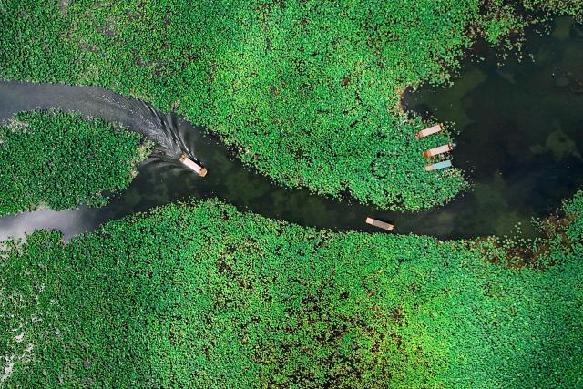(250717) -- QIUBEI, July 17, 2025 (Xinhua) -- A drone photo taken on July 16, 2025 shows tourists taking boats at the Puzhehei scenic area in Qiubei County, Wenshan Zhuang and Miao Autonomous Prefecture, southwest China's Yunnan Province. The beautiful scenery of Puzhehei, along with the rich amusement facilities there, has attracted lots of visitors during the summer. (Photo by Peng Yikai/Xinhua)