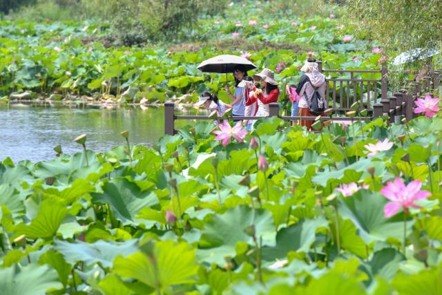 (250717) -- QIUBEI, July 17, 2025 (Xinhua) -- Tourists take photos at the Puzhehei scenic area in Qiubei County, Wenshan Zhuang and Miao Autonomous Prefecture, southwest China's Yunnan Province, July 16, 2025. The beautiful scenery of Puzhehei, along with the rich amusement facilities there, has attracted lots of visitors during the summer. (Photo by Peng Yikai/Xinhua)