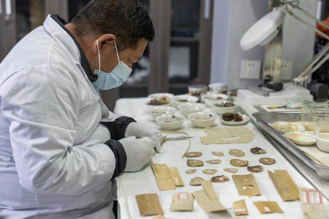 (250719) -- LHASA, July 19, 2025 (Xinhua) -- A member of an expert team on experimental repairing of Pattra-leaf Scriptures works on pattra leaves at Potala Palace in Lhasa, capital of southwest China's Xizang Autonomous Region, May 25, 2025. Pattra-leaf Scriptures, or scriptures written on pattra leaves (often in Sanskrit), is important reference documents for research on the cultural broadcasting and history of south and central Asia. Their contents not only cover Buddhism classics, but also relate to cultures, arts, philosophy, medical science and astronomy.
   The Potala Palace houses nearly 40,000 collections of ancient books and documents in multiple languages. Among the most significant collections are scriptures written on around 30,000 pattra leaves, which, however, have posed for great challenges for repairing due to long time of wearing. 
   In 2018, the State Administration of Cultural Heritage (SACH) started the protection project for ancient documents such as Pattra-leaf Scriptures at Potala Palace. After several years of researches and exploration, experts have made achievement on the repairing of Pattra-leaf Scriptures, discovering the right pattra materials for fixing, ways of making adhesives and colour repairing. (Xinhua/Tenzing Nima Qadhup)