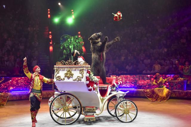 (250719) -- BEIJING, July 19, 2025 (Xinhua) -- Artists perform during the World Circus Art Festival "IDOL-2025" in Moscow, Russia, on July 17, 2025. The festival is held here from July 17 to 20. (Photo by Alexander Zemlianichenko Jr/Xinhua)