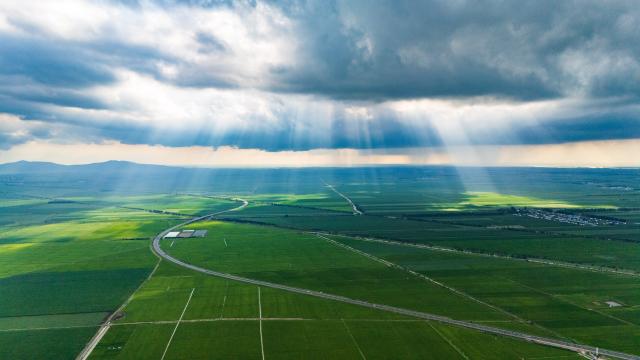 (250719) -- BEIJING, July 19, 2025 (Xinhua) -- An aerial drone photo taken on July 17, 2025 shows paddy rice fields in Fujin City, northeast China's Heilongjiang Province. (Xinhua/Chen Yichen)
